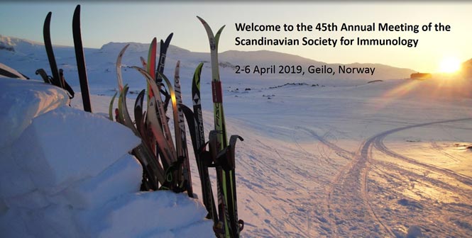 The invitation to SSI 2019: a picture of skis standing up in the snow, with a sunset in the background. There is text on top that says: "Welcome to the 45th Annual Meeting of the Scandinavian Society of Immunology. 2-6 April 2019, Geilo, Norway".